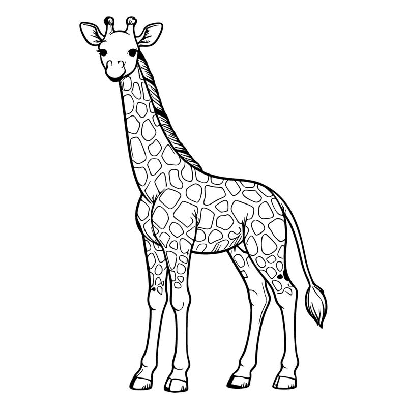 a detailed and realistic natural giraffe