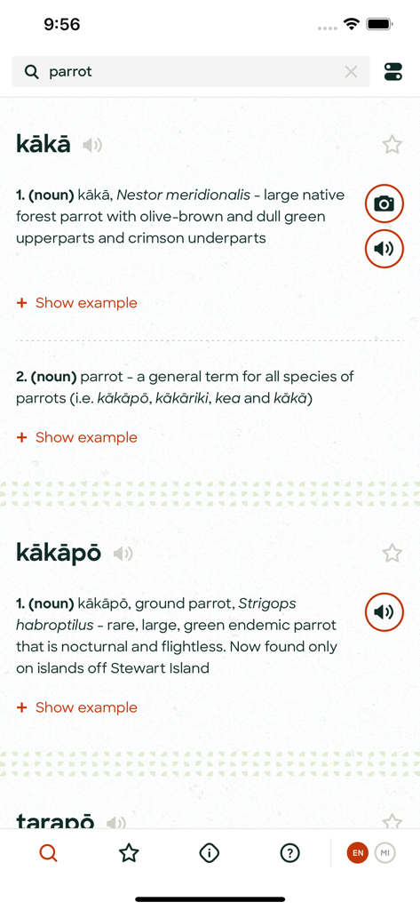 Resultados de búsqueda de la aplicación Te Aka Maori Dictionary para el loro que muestra definiciones de kaka y kakapo