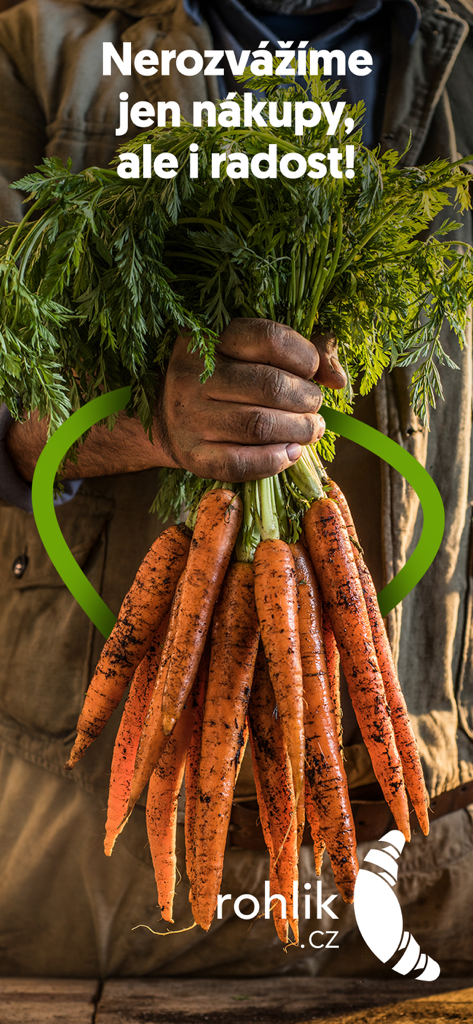 A person holding a bunch of freshly harvested carrots with green leafy tops
