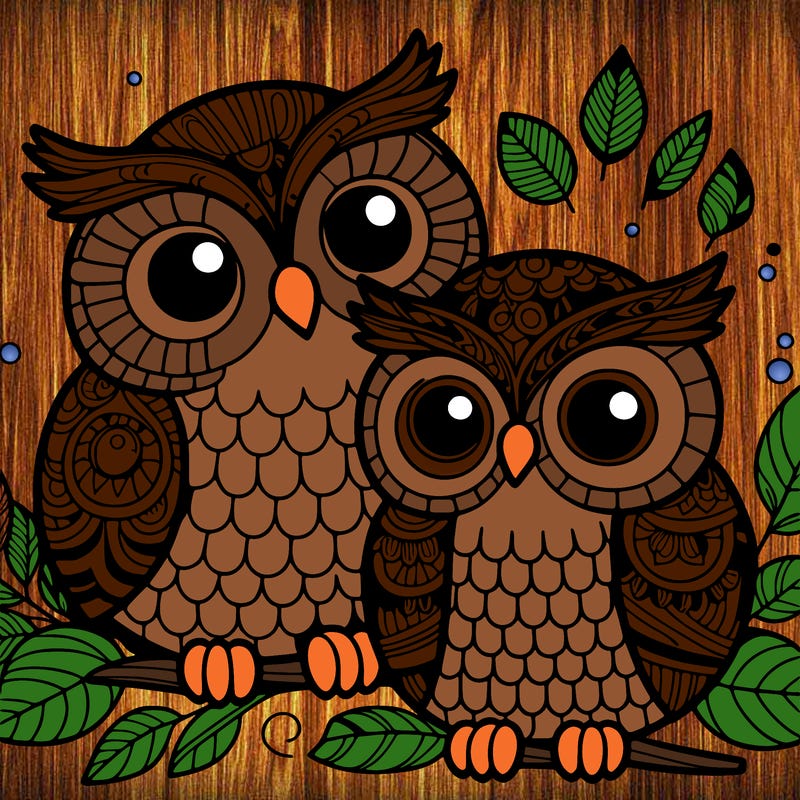 owls