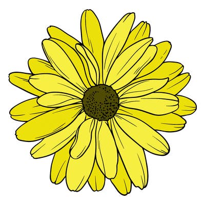 flowers_21