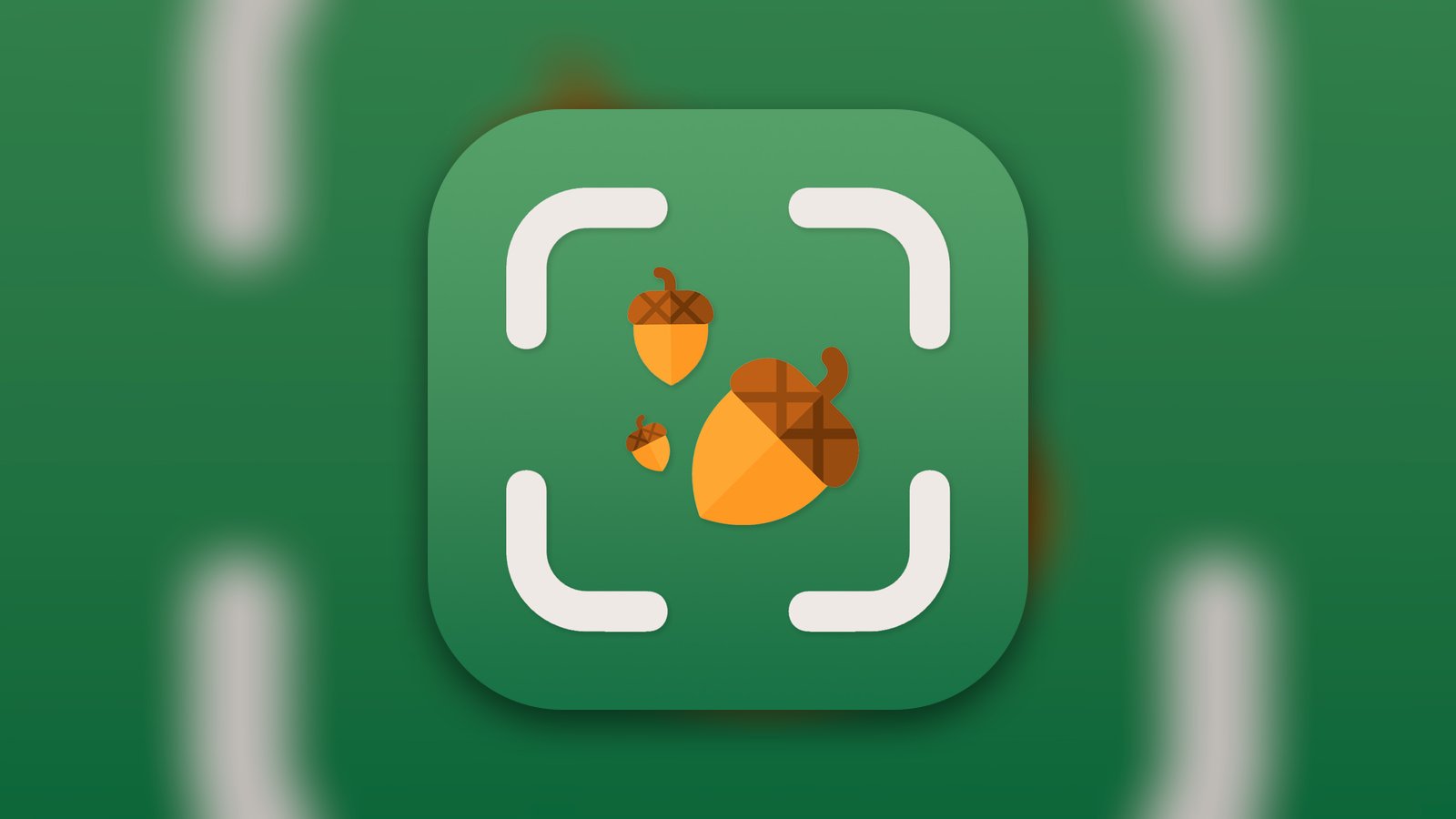 Seed Identifier - AI Scanner - Reference App | MWM