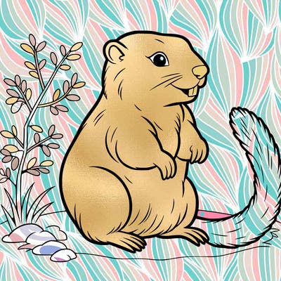 yellow bellied marmot