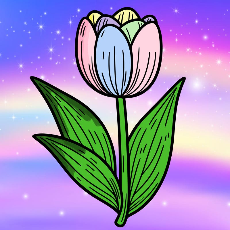 tulip