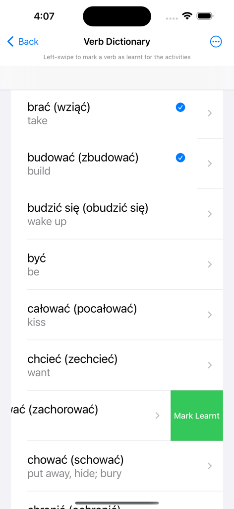 Interface of the Polish Verb Blitz app showing a dictionary of verbs with English translations and progress tracking marks