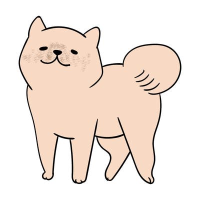animals_29