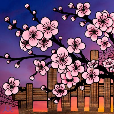 japan cherry blossom