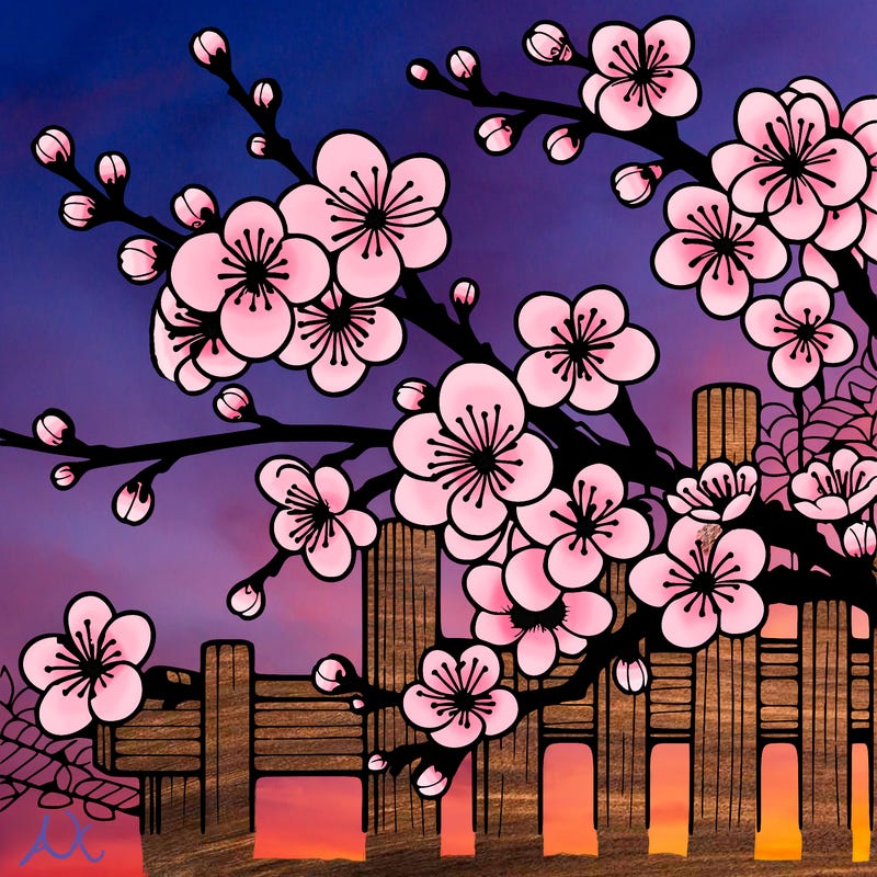 japan cherry blossom