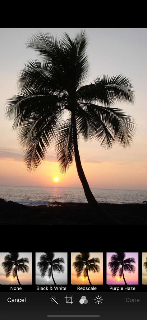 Photo Manager Pro - Photo editing interface with filter presets and adjustment tools for a sunset photo