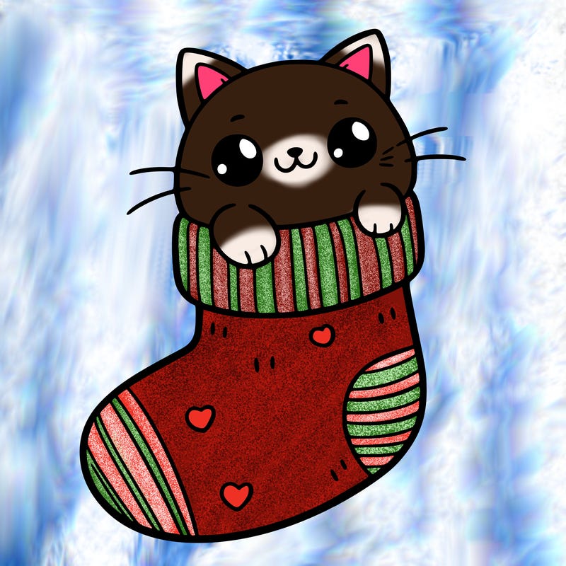 cute cat in a sock