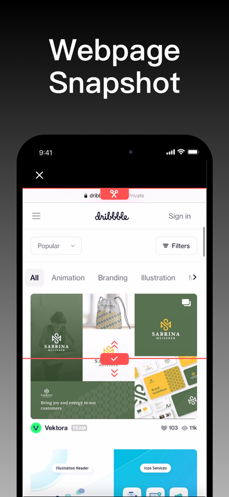 Interface of Longshot app showing the webpage snapshot feature on a mobile device
