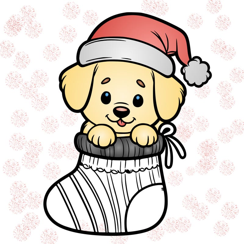 cute puppy wearing santa hat in socking