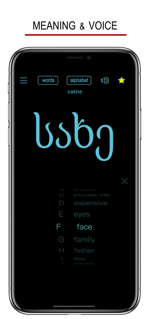 Interface do aplicativo móvel Palavras e Escrita Georgiana mostrando o alfabeto georgiano para rosto com seu significado em inglês e botão de áudio.