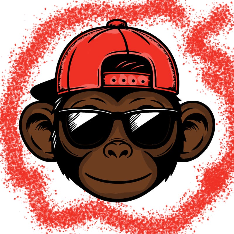 monkey wearing sunglasses and a cap