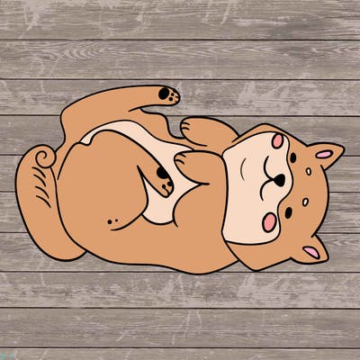 animals_30