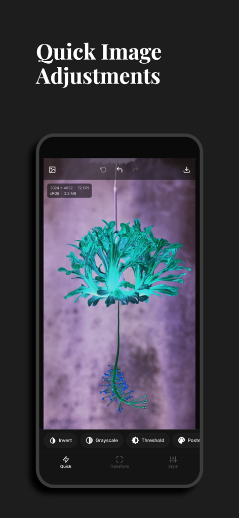 DotPress - Écran de smartphone montrant l'interface de l'application DotPress avec des outils de réglage rapide d'image appliqués à une photo de fleur