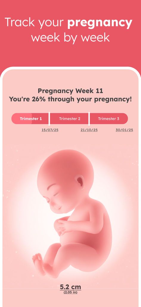 Trying to Conceive & Pregnancy - OvuFriend app screenshot showing pregnancy week 11 progress with a fetus illustration and trimester timeline.