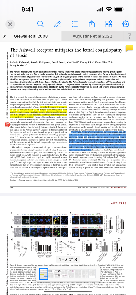 Bookends - Documento de investigación con resaltados amarillos y azules en la interfaz de la aplicación móvil Bookends.