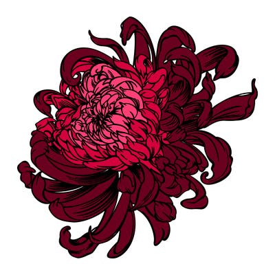 flowers_01