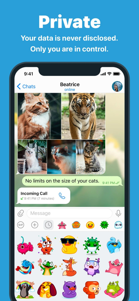 TG Connect - Private chat interface of TG Connect messaging app featuring media sharing and stickers