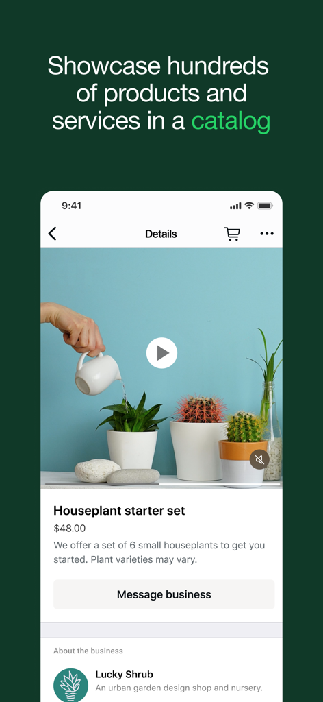 Uno screenshot della funzione catalogo di WhatsApp Business che mostra una pagina prodotto di un set di piante da interno con un pulsante per inviare un messaggio all'azienda.