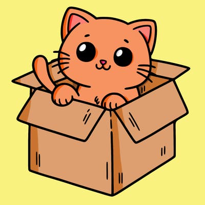 cat in a box