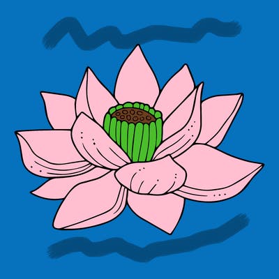 flowers_08