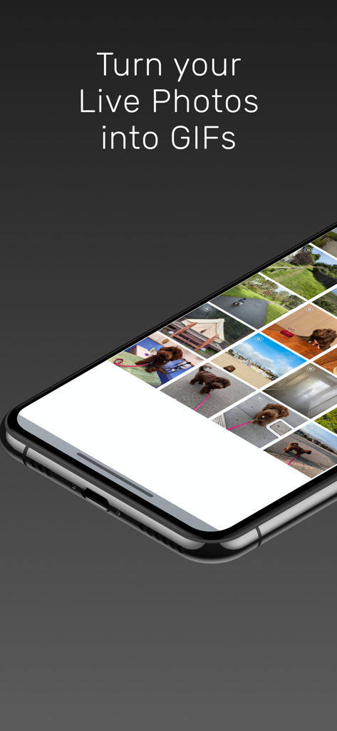 Live GIF - Interface do aplicativo Live GIF em um iPhone com o slogan Transforme suas Fotos Vivas em GIFs