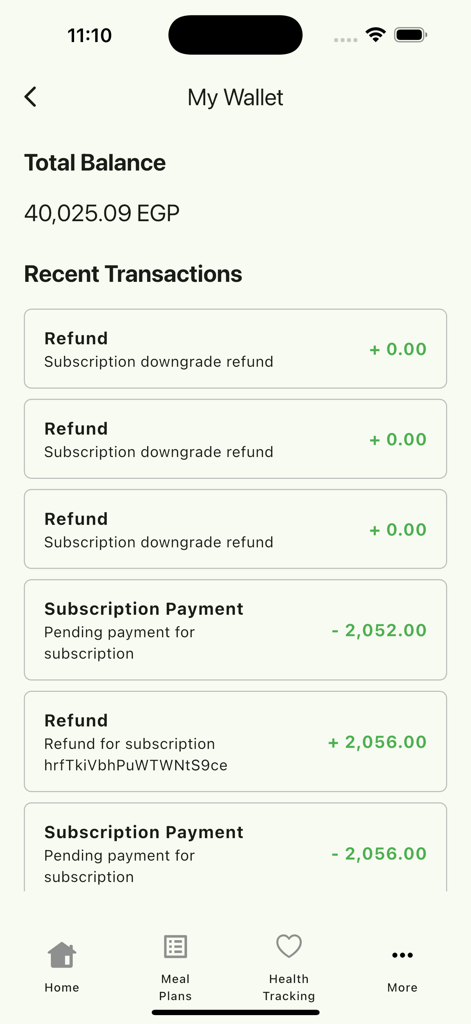 Antifat Egypt - Tela Minha Carteira do aplicativo Antifat Egypt mostrando saldo da conta e histórico de transações recentes.