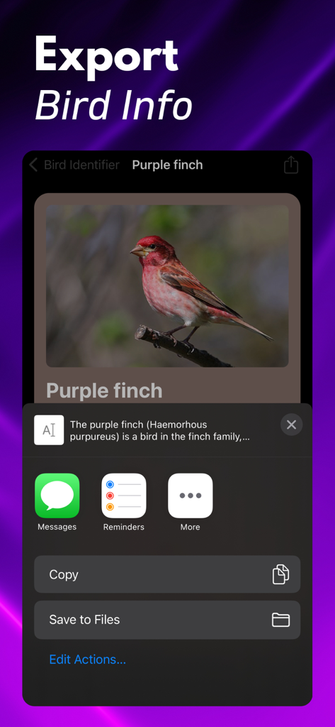 Una interfaz de aplicación móvil que muestra opciones para exportar y compartir información de identificación de aves para un pinzón morado