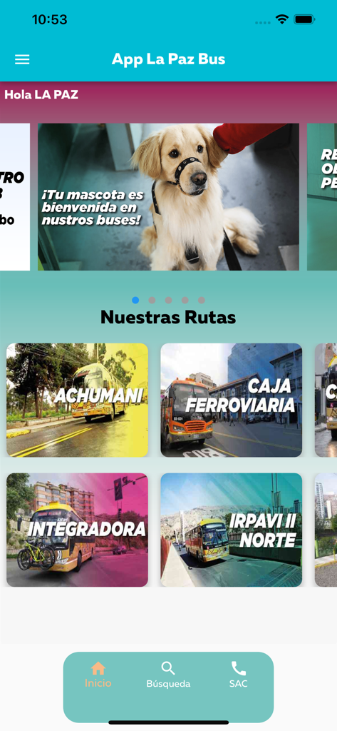 Home screen of the La Paz Bus app showing municipal bus routes and pet policy