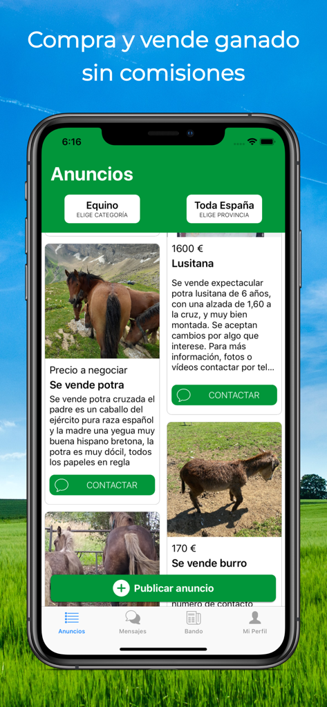 Vacapop - Compraventa ganadera - Vacapop mobile app interface showing livestock listings and search filters