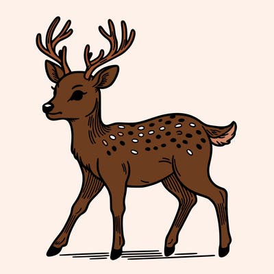 deer