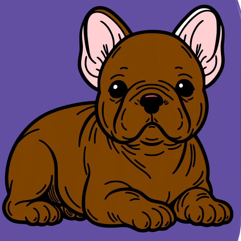 frenchie dog
