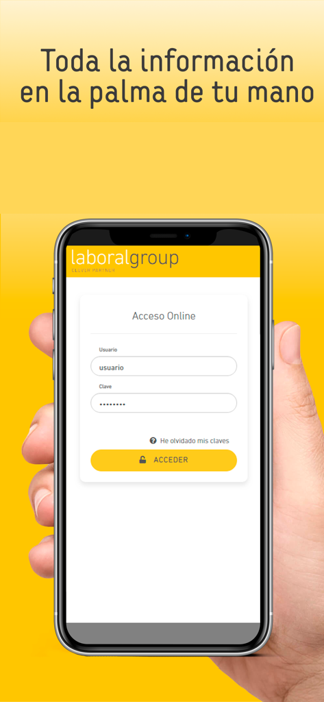 A smartphone held in a hand showing the login screen of the Laboral Group business management app