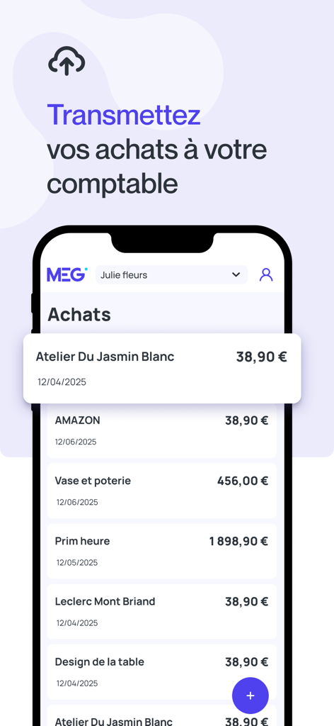 MEG - Mon Expert en Gestion - Écran de l'application MEG affichant une liste d'achats professionnels et de reçus à envoyer à un comptable