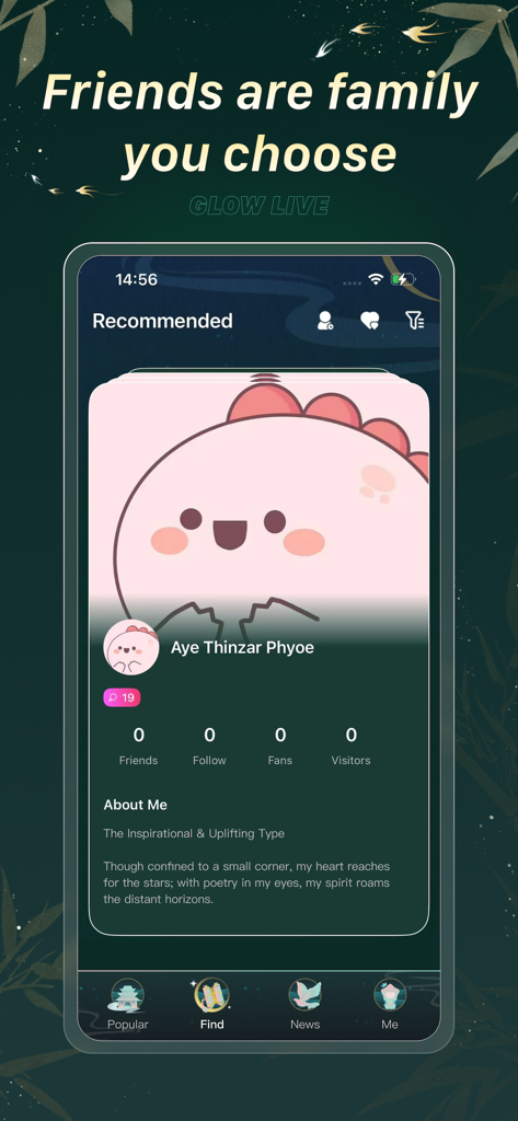 Glow Live-Voice Chat - A user profile screen on the Glow Live app showing an About Me section and social connection statistics