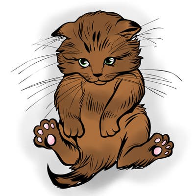 animals_20