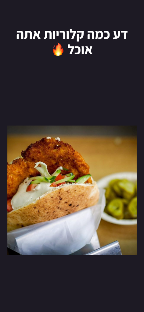 קאלז - A photo of a schnitzel pita in the Calz app for calorie tracking with Hebrew text