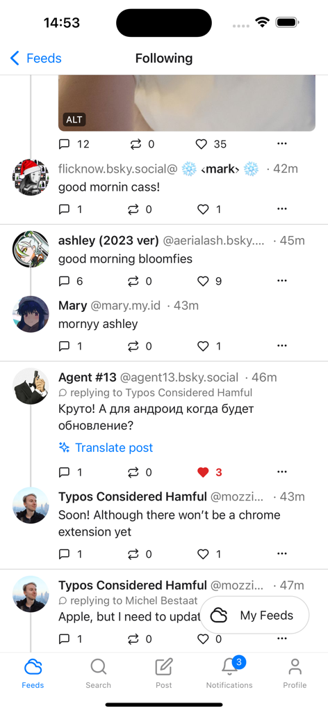 Graysky, a Bluesky client - Interface of the Graysky app showing the following feed with social media posts and a translate feature