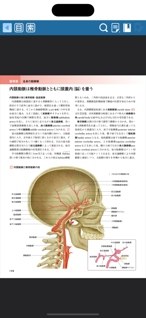 Detailed Japanese anatomical diagram showing the arteries of the head and neck.