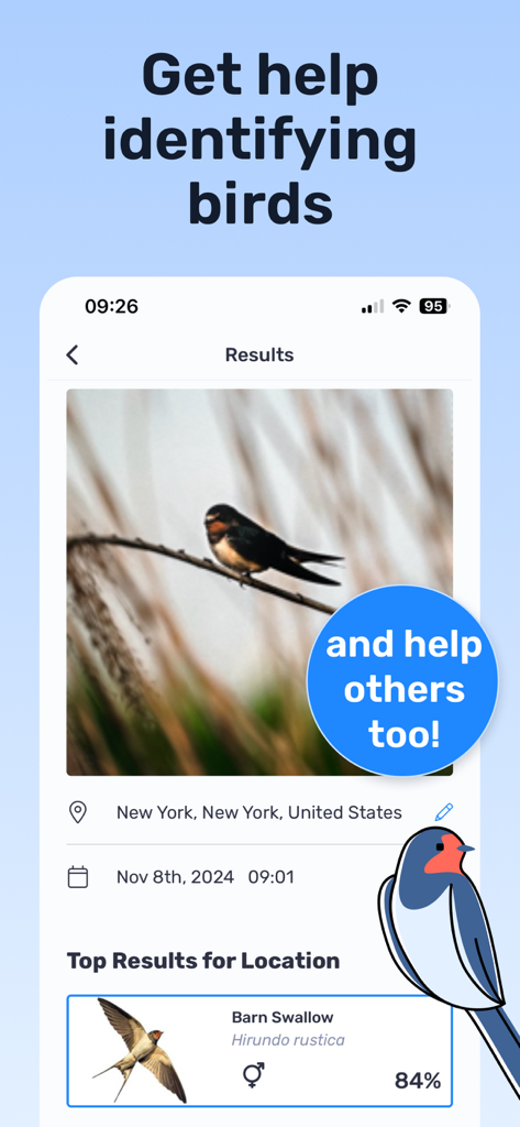Birda – Birding Made Better - Birdaアプリの画面に、ニューヨークでのショウドウバトのAIによる識別結果を表示