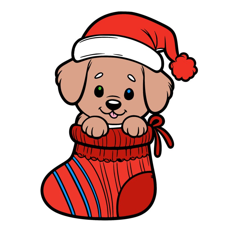 cute puppy wearing santa hat in socking