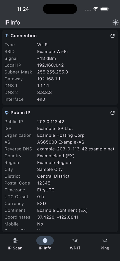 Detailed view of local connection and public IP information in the Advanced IP Scanner app