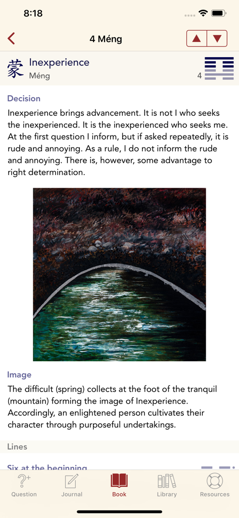 Interpretation of Hexagram 4 Meng or Inexperience in the Yi Jing app with decision text and an illustration.
