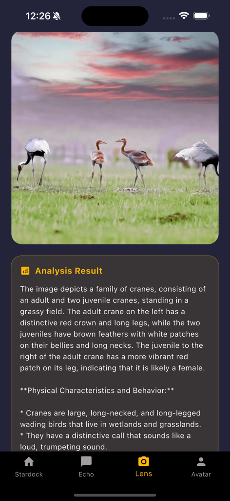 Tactil - Tactil app displaying AI analysis results for a group of cranes in a field