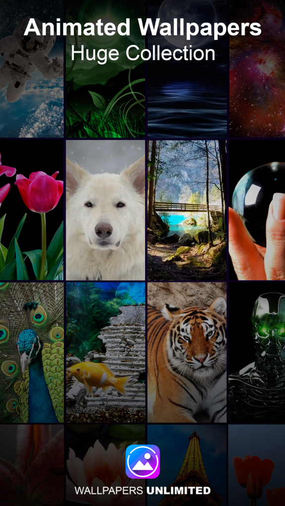 Live Wallpapers Unlimited - A grid of diverse animated wallpapers featuring nature animals space and landmarks