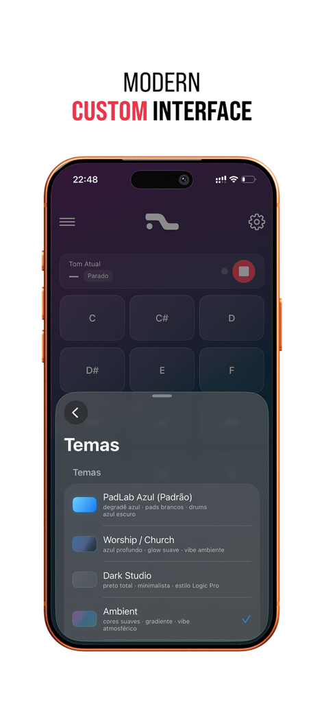 PadLab app interface showing customizable music themes for live performance