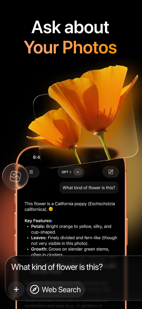 AI Chat Assistant – ChatNow - ChatNow app identifying a California poppy flower using AI photo analysis