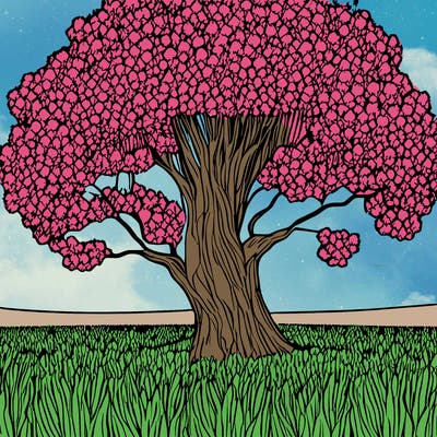 field of blooming flowers with a large tree